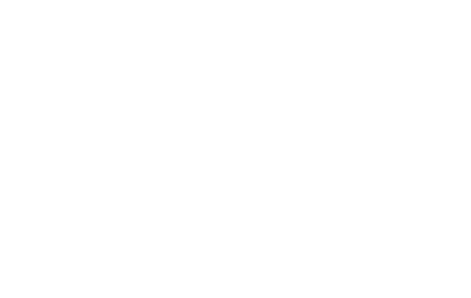 decorative line